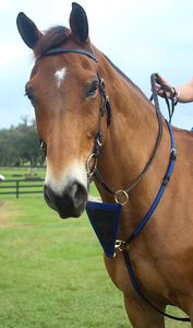 Martingale de course en nylon pour chevaux, jaune et noir, de qualité supérieure, fabriquée aux États-Unis. Martingale de course conçue avec des matériaux haut de gamme. - Product Image 4