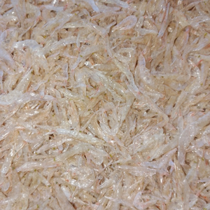 Top tốt nhất bán Tôm khô từ Việt Nam với giá cả cạnh tranh đã sẵn sàng để tàu Chất lượng cao tươi tôm đông lạnh - Product Image 4