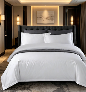 Juego de Funda Nórdica Aloe Blanca con Ribete Gris, Juego de Ropa de Cama de 4 Piezas para Decoración de Dormitorio Moderno, Cuatro Estaciones - Product Image 1