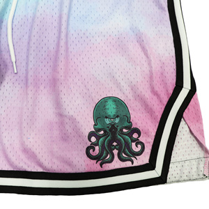 Shorts de basketball personnalisés OEM, uniforme d'équipe, taille élastique en mesh, respirant, séchage rapide, impression de design personnalisé, usine - Product Image 4