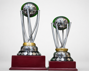 Stainless Steel Sports <b>Trophy</b> <b>Cup</b> Customized Achievement Award Display Durable Premium Quality - Product Image 1