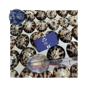 [ALTA CALIDAD] |   Escamas de Concha de Limpet Azul Trituradas a Granel |   Materia prima para la producción de posavasos de resina en Vietnam - Product Image 4