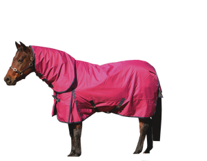 Combo Karpet Kuda Musim Dingin Tahan Air Kain Selimut Kuda 1200D Karpet Kuda dengan Pita Reflektif LOGO Disesuaikan - Product Image 1