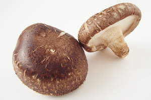 เห็ดแช่แข็ง IQF – ผู้จัดจำหน่ายเห็ดคุณภาพพรีเมียมแบบขายส่ง // คุณทอม - Product Image 2