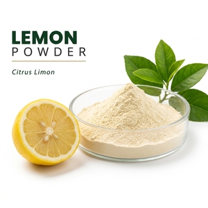 Polvo de Limón, Extracto de Planta Cítrica, Polvo Fino de Limón para el Procesamiento de Alimentos y Bebidas - Product Image 1