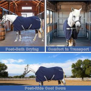 Manta de Forro Polar para Caballos de 300g al por Mayor |   Lámina Absorbente de Humedad con Cordones y Cordón de Cola |   Alfombra Estable de 78 Pulgadas - Product Image 4