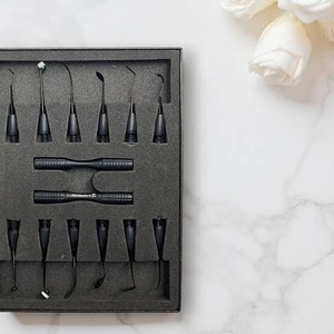 Kit d'instruments chirurgicaux dentaires, 12 embouts en acier inoxydable noir avec 2 poignées moletées, outils manuels de classe I - Product Image 6