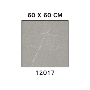 Baldosa de Porcelana 60x60cm Acabado Mate Imitación Mármol Textura Antideslizante para Paredes y Suelos Interiores Modelo 12017 - Product Image 1