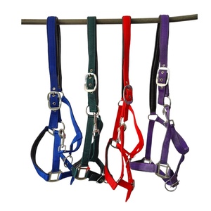 Cabestro para Caballo Estilo Inglés, Duradero, Personalizable, con Brida de Nailon, Diseño Moderno, Productos de Marca Privada, Más Vendido - Product Image 1