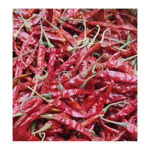 Piment rouge séché, produit agricole pour la vente en gros internationale B2B - Product Image 4