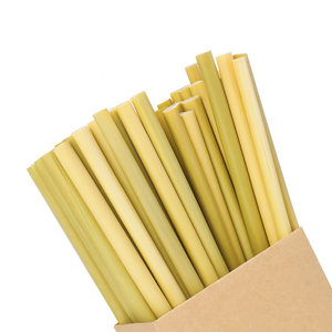 Pajitas de Hierba Verde Biodegradables con Muestra Gratis para Beber Bebidas/ Pajita de Hierba Ecológica - Product Image 3