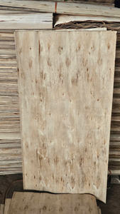 Placage de bois blanc coupé en rondelles pour âme de contreplaqué - Product Image 4