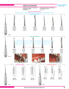 Service OEM, élévateur de racines sur mesure, vente au Pakistan, vente directe d'usine, élévateurs de racines - Product Image 3