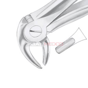 Figura. 14 Pinzas de Extracción Dental Manuales de Acero Inoxidable de Alemania, Instrumentos Dentales de Diferentes Tamaños SIGAL MEDCO SM-EF-019 CE - Product Image 2
