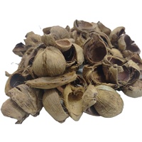 Tokra Impex Pot-pourri en vrac de haute qualité, écologique, à base de coques de noix de bétel naturelles séchées, d'origine indienne, pour décoration