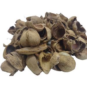 Tokra Impex Areca Botanique Indienne de Haute Qualité, Pot-pourri en Vrac Écologique, Coque de Noix de Bétel Naturelle Séchée, Décoration d'Intérieur - Product Image 2