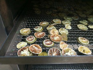 Rodajas de Limón Deshidratadas de Alta Calidad, Fruta Cítrica Natural de Vietnam, Decoración, Suministro a Granel para Exportación - Product Image 3