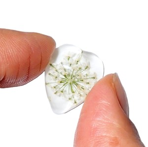 White Laceflower Real Specimen Plastic Cabochon Heart 17x21 mm Clear Flat Bottom <b>for</b> Crafts and Jewelry Making - Product Image 2