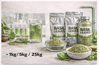 Polvo de Hoja de Tulsi Orgánico Premium 99% Puro, Secado al Aire Caliente, Grado Alimenticio, Extracto Herbal en Botella, Lata, Tambor, Alimento Saludable, Suministro a Granel