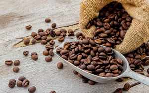 กาแฟโรบัสต้าคั่วบดพิเศษจากเวียดนาม ขายส่งจำนวนมาก คุณภาพส่งออก ผลิตจากธรรมชาติ 100% ได้รับการรับรองมาตรฐาน ISO 22000 - Product Image 2