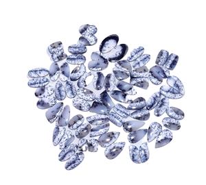 Dendrite โอปอลควอทซ์อาเกต Cabochon คู่พลอย Cabochon คุณภาพสูงสำหรับเครื่องประดับอัญมณีในราคาโรงงานสำหรับต่างหู - Product Image 4