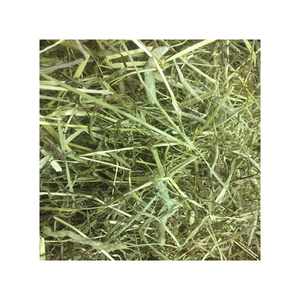 Wholesale Alfalfa Hay Animal <b>Feeding</b> Stuff Alfalfa, hay/alfalfa hay <b>pellets</b> Timothy Hay/ Alfalfa in Bales Best Super Top Quality - Product Image 3