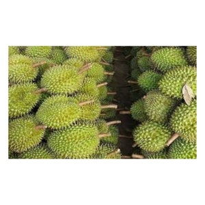 Fruta Durian Orgánica Fresca Dulce y Afrutada Cultivada en Vietnam - Product Image 3