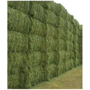 Heno de Alfalfa para Alimentación Animal, Heno de Alfalfa/Pellets de Heno de Alfalfa, Heno de Timothy/Alfalfa en Pacas - Product Image 1