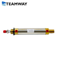 Cylindre hydraulique miniature TEAMWAY série DO 3,5 MPa à huile, aimant intégré pour capteurs, en alliage d'aluminium chromé dur