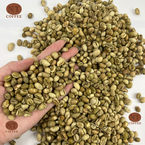 Granos de Café Verde Culi de Vietnam Premium, Alta Densidad, Sabor Intenso, Suministro al por Mayor para Tostadores de Café en Todo el Mundo - Product Image 1