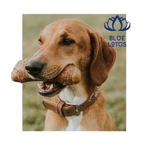 พร้อมส่ง ของเล่นแทะไม้กาแฟสำหรับสุนัข ปี 2026 ทนทาน ใช้ฝึกการเคี้ยวและคลายเครียด - Product Image 4