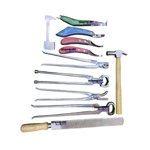 Nuevo Kit de Herramientas de Herrador Personalizadas Todo en Uno de 10 Piezas Wenquar, Set Profesional para el Cuidado de Pezuñas, Instrumentos Quirúrgicos - Product Image 1