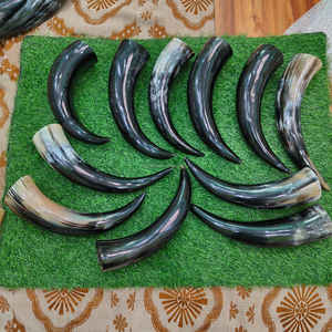 Authentique cornes de bœuf nordiques vikings pour boire, style rustique médiéval, au meilleur prix - Product Image 5