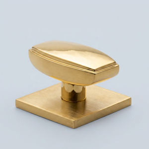 Fancy Brushed Brass Cabinet Knob with Square Backplate Gold Finished Minimalist Design Furniture Handle Bathroom Fitcken Pulls - Product Image 1