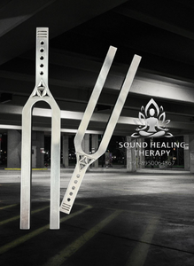 Compre un Juego de 2 Diapasones Gigantes de Acero Inoxidable con Relación de Frecuencia de 512 Hz - Product Image 5