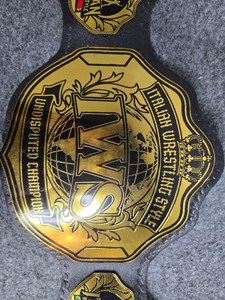 เข็มขัดแชมป์มวยปล้ำ IWS MMA โลโก้สีทอง รางวัลถ้วยรางวัลส่วนบุคคล ทำจากโลหะผสมสังกะสี น้ำหนักเบา รุ่นเอวสูง รางวัลแชมป์เปี้ยน - Product Image 2