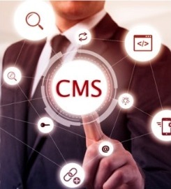 Ofrecemos servicios de diseño y desarrollo web responsivo enfocados en la creación de negocios profesionales B2B - Product Image 2