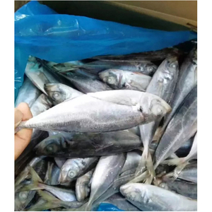 ปลาแมคเคอเรลแปซิฟิกแช่แข็งทั้งตัวแบบแห้งเพื่อสุขภาพ - Product Image 3
