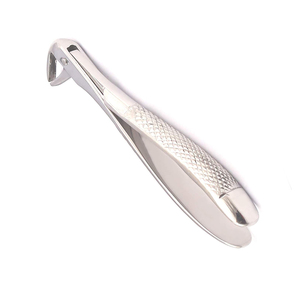 Tooth extraction instrument designed for dentists offering strong <b>grip</b> and <b>controlled</b> handling Dental Forceps - Product Image 2