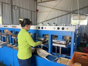 BEST SELLER Assiettes en feuilles de palmier durables |   Vaisselle jetable résistante à l'eau pour la nourriture vietnamienne authentique - Product Image 4