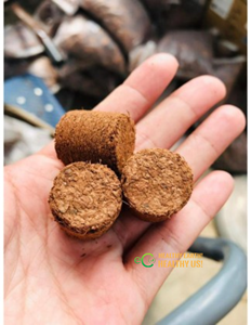 Discos de Fibra de Coco Biodegradables para Germinación de Semillas |   Coco Coir a Granel para Germinación y Crecimiento de Plántulas, Ideal para Plantar, de Vietnam - Product Image 3