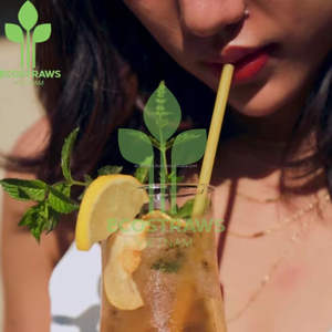 Pajita biodegradable ecológica Embalaje personalizado Buen precio Muestra gratis-Ecostraws de Vietnam Factory - Product Image 4
