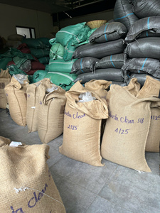Café Vert Robusta Vietnamien DHPONE Grade AA 100% Naturel Couleur Naturelle Goût Neutre Sans Allergènes Emballage Sac en Jute PP 60kg Entier - Product Image 5