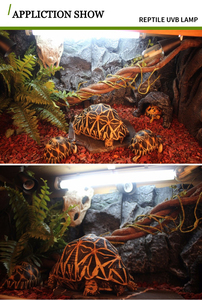 Lámpara UVB T8 para Reptiles, 2%/5%/10% de Protección UVB, Lámpara UVB T5 para Reptiles - Product Image 5