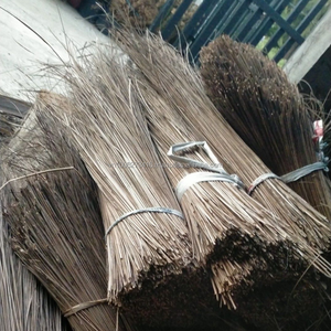Bâtons de balai en Nipah 100% naturels KMI pour la fabrication de balais - Longueur : 90-160 cm et entièrement séchés - Product Image 3