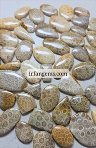 Lot de cabochons en corail fossile 100 % naturel, pierres précieuses polies pour la fabrication de bijoux, l'artisanat thérapeutique et les commandes personnalisées - Product Image 3