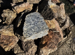 Pierre brute de pinolithe, pierre brute naturelle non polie, pierres de guérison, cristal, grossiste en pierres précieuses et cristaux - Product Image 5