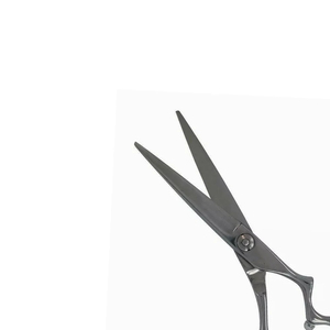 Ciseaux professionnels en acier inoxydable avec trou rond, design pour droitiers et étui en cuir pour adultes - Product Image 1