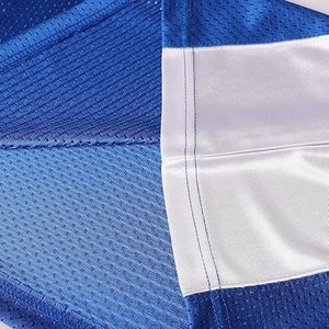 Camiseta deportiva personalizada de poliéster azul y blanco con cuello en V, número 33 de Riggins, de los Panthers de Fútbol Americano - Product Image 3