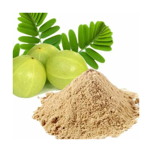 Extracto de Fruta de Amla en Polvo de Primera Calidad, Polvo de Grosella Indio, Extracto Natural de Grado Alimenticio, Suministro a Granel - Product Image 2